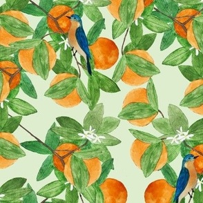 Blue Birds and Orange Blossoms