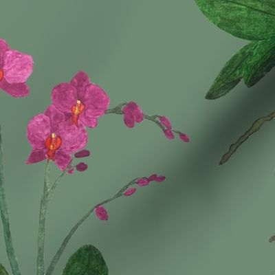 Orchid Green Background