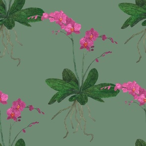 Orchid Green Background