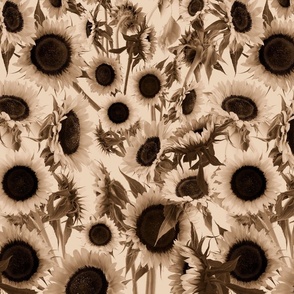 Sunflowers in Sepia 