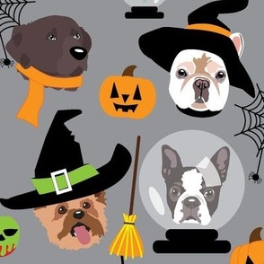 Halloween Witch's Dogs 