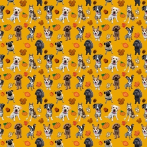 Dogs Gone Wild for Fall_Goldenrod