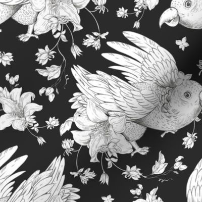 Tropical flowers, Parrot, Monochrome