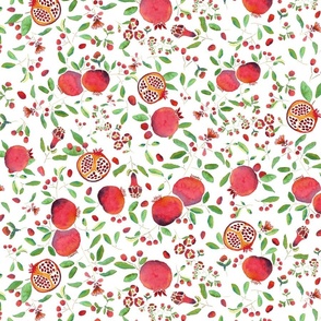 Pomegranates medium