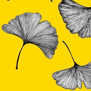 Large Scale Ginkgo Leave Yellow Background