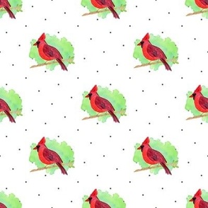 Watercolor Cardinal  Bird Pattern with dots