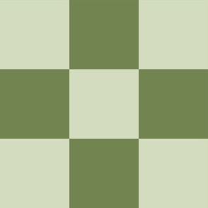 Checkerboard || Dark Green and Light Green Check ||Outdoor Oasis  Collection by Sarah Price