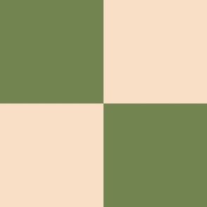 Checkerboard || Green and Peach Check ||Outdoor Oasis  Collection by Sarah Price