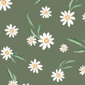 White daisies green