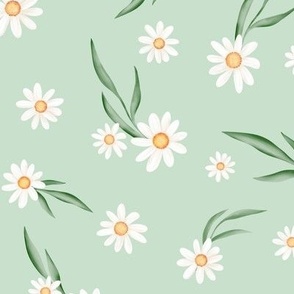 White daisies soft green