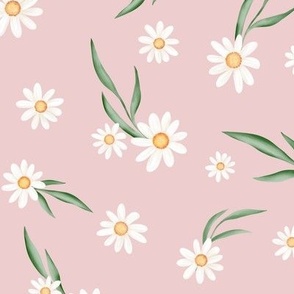 White daisies pink