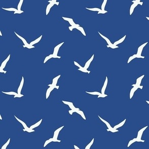 Seagulls silhouettes blue