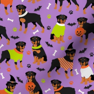 Rottweiler Halloween Purple