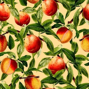 14" Nostalgic Yellow Peach Kitchen Wallpaper, Vintage Peaches Fabric,   Fall Home Decor, Fruit Harvest,sunny yellow