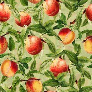 14" Nostalgic Yellow Peach Kitchen Wallpaper, Vintage Peaches Fabric,   Fall Home Decor, Fruit Harvest, green double layer 