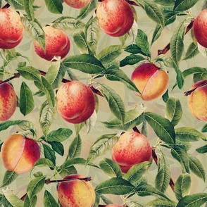 14" Nostalgic Yellow Peach Kitchen Wallpaper, Vintage Peaches Fabric,   Fall Home Decor, Fruit Harvest, sepia green double layer