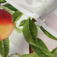 14" Nostalgic Yellow Peach Kitchen Wallpaper, Vintage Peaches Fabric,   Fall Home Decor, Fruit Harvest, white double layer