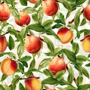 14" Nostalgic Yellow Peach Kitchen Wallpaper, Vintage Peaches Fabric,   Fall Home Decor, Fruit Harvest, white double layer