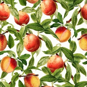 14" Nostalgic Yellow Peach Kitchen Wallpaper, Vintage Peaches Fabric,   Fall Home Decor, Fruit Harvest, white