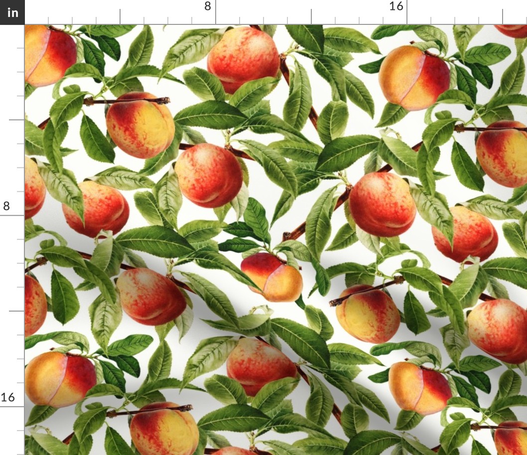 14" Nostalgic Yellow Peach Kitchen Wallpaper, Vintage Peaches Fabric,   Fall Home Decor, Fruit Harvest, white