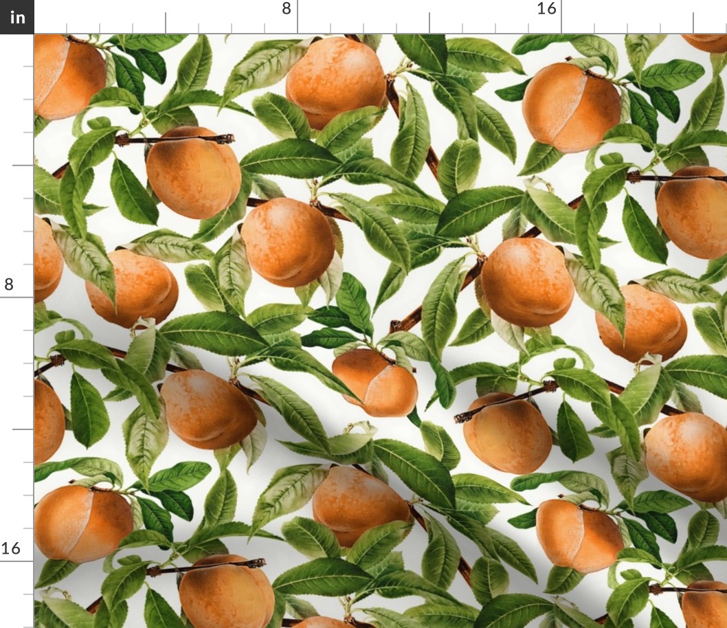 14" Nostalgic Yellow Peach Kitchen Wallpaper, Vintage Peaches Fabric,   Fall Home Decor, Fruit Harvest, off white