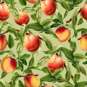 14" Nostalgic Yellow Peach Kitchen Wallpaper, Vintage Peaches Fabric,   Fall Home Decor, Fruit Harvest, green