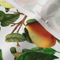12" Nostalgic Yellow Peach Kitchen Wallpaper,  Vintage Plums Fabric, Vintage Fruits, Nostalgic Pears, Antique Cherries, Fall Home Decor, Fruit Harvest,white