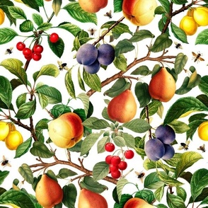 12" Nostalgic Yellow Peach Kitchen Wallpaper,  Vintage Plums Fabric, Vintage Fruits, Nostalgic Pears, Antique Cherries, Fall Home Decor, Fruit Harvest,white