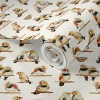 Zebra Finch Birding-black and rust on cream texture only background (small scale)