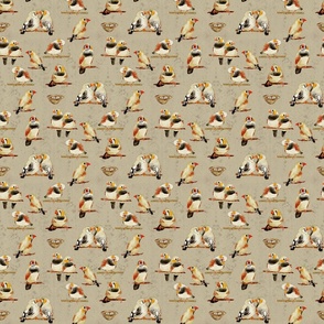 Zebra Finch Birding-black and rust on khaki background with cream texture and gray splatter(small scale)