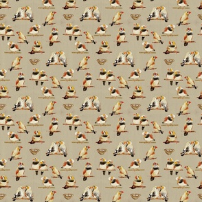 Zebra Finch Birding-black and rust on khaki background with cream texture (small scale)