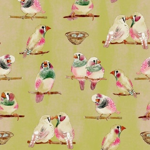 Zebra Finch Birding -pink on green background with pink texture  (jumbo scale)