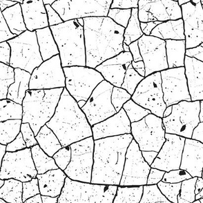 Black and white crack texture