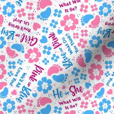 Medium Scale Gender Reveal Girl or Boy? He or She? Pink or Blue? 