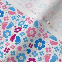 Small Scale Gender Reveal Floral Girl Boy Baby Footprints Pink and Blue Hearts and Flowers