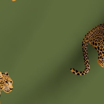 Small cheetahs on Smokey Sage