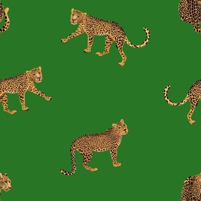 Small cheetahs on green