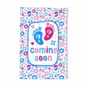 Large 27x18 Fat Quarter Panel Gender Reveal Boy or Girl Coming Soon Banner Wall Hanging Pregnancy Announcement