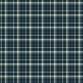 plaid pattern - small 