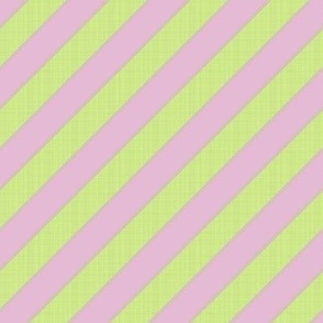 candycane_orchid_lime_green