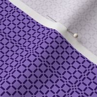 Fancy Checkered Purple