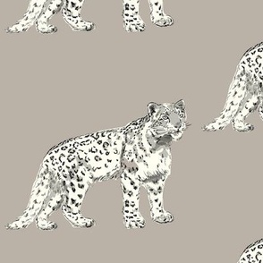 Snow Leopards in khaki gray and ivory