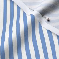 DIAGONAL CANDY STRIPE CORNFLOWER BLUE AND WHITE copy