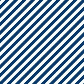 DIAGONAL CANDY STRIPE  BLUE AND WHITE copy