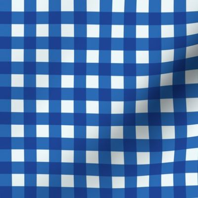 coordinating checks-101-blue