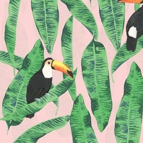 Large Watercolor Toucan Jungle with Salmon Pink Background