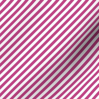 Diagonal Candy Stripe Magenta and White