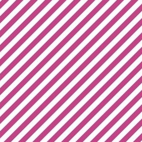 Diagonal Candy Stripe Magenta and White