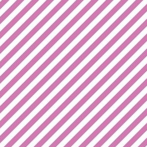 Diagonal Candy Stripe Orchid and White