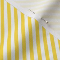 Diagonal Candy Stripe Bold Yellow and White